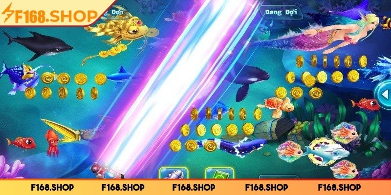 Thông tin về phòng săn cá thuỷ cung